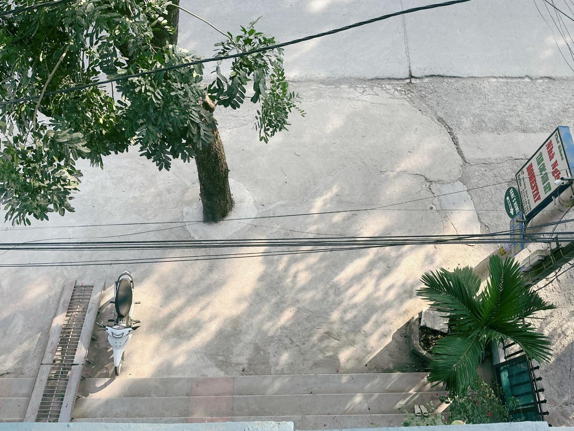 Tam Coc Sunset Homestay Ninh Binh Exterior photo